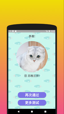 ʲôӵ؈app