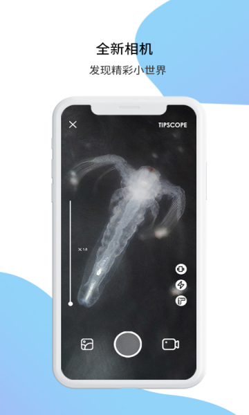 TipScopeپW(wng)