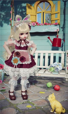 project dollپW(}B)