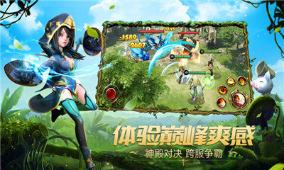 ֮ŭپW(Dragon Nest Fury)