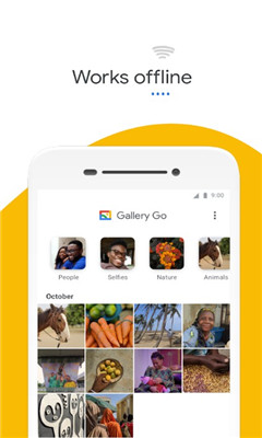 gallery goپW(googleԈD쾫)